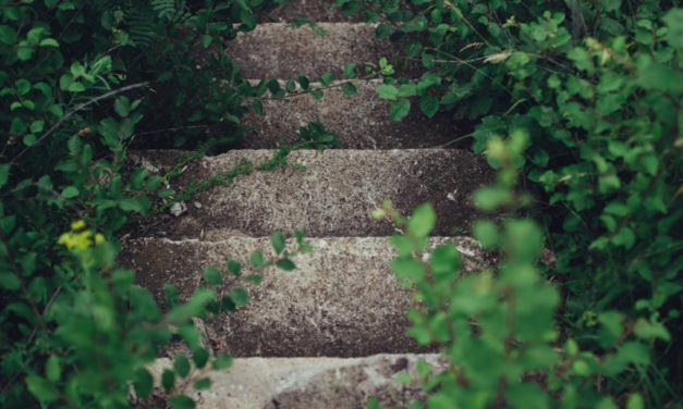 The 7 Levels of Gardening