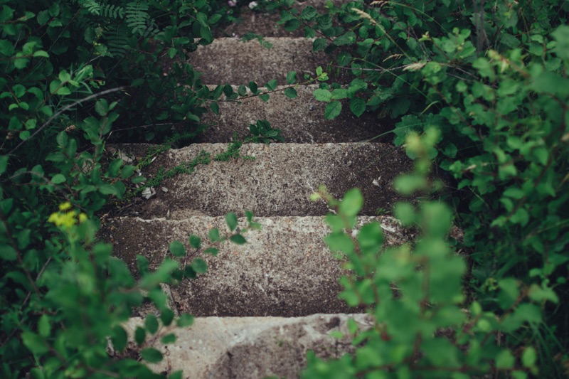 The 7 Levels of Gardening